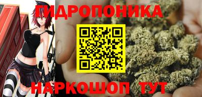 крисы Гусев