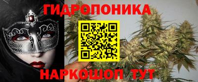 крисы Гусев