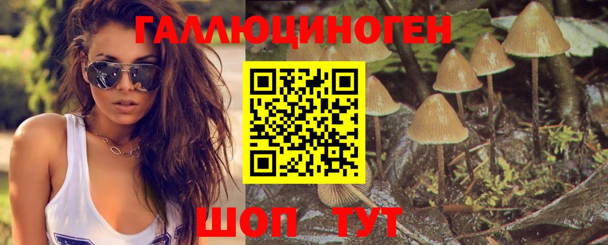 Псилоцибиновые грибы Cubensis  Галлюциногенные грибы ЛСД  Муром  Вход с VPN 